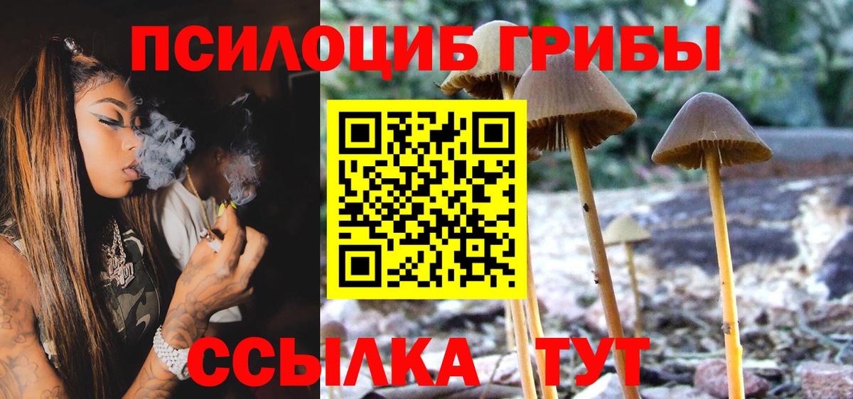 Георгиевск  Галлюциногенные грибы Psilocybe  Вход с VPN 